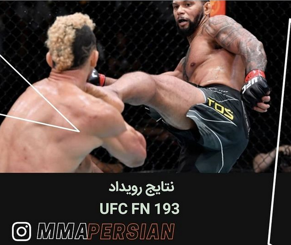 نتایج رویداد :  UFC Fight Night: Santos vs. Walker