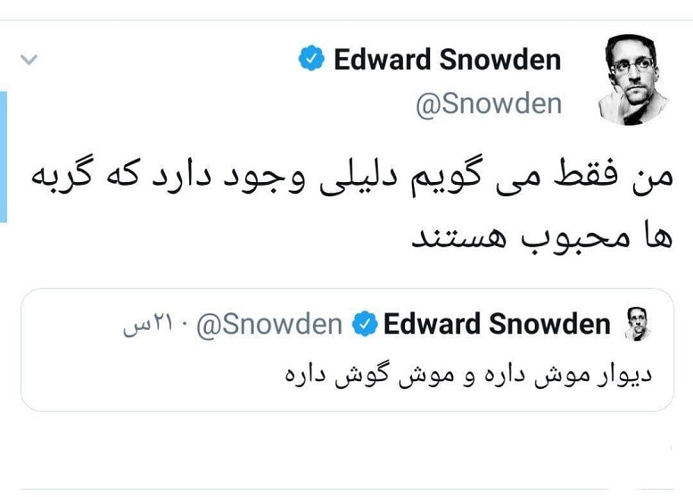 دومین توئیت فارسی و مشکوک ادوارد اسنودن,من فقط می گویم دلیلی وجود دارد که گربه ها محبوب هستند,دیوار موش داره و موش گوش داره,The second Persian and suspicious tweet of Edward Snowden,ادوارد اسنودن,اخبار سیاست خارجی,خبرهای سیاست خارجی ,دومین توئیت فارسی و مشکوک ادوارد اسنودن,توئیت فارسی ادوارد اسنودن,جنگ سیاسی,فارسی,جاسوس,جاسوسی,