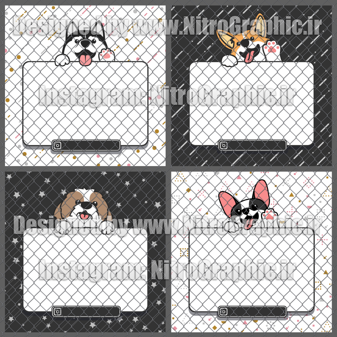 عکس های سگ های بامزه عکسهای سگ کیوت والپیپر سگهای خانگی وحشی شکارچی آموزش نگهداری از سگها و گربه ها حقوق حیوانات طرحهای گرافیکی پست و استوری اینستاگرام