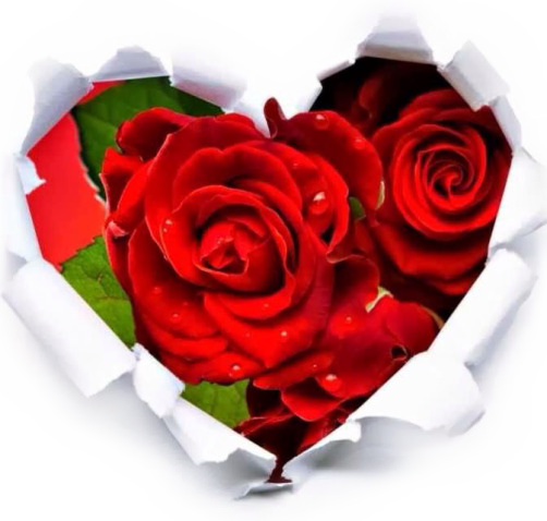 https://s20.picofile.com/file/8444398350/a1971.png